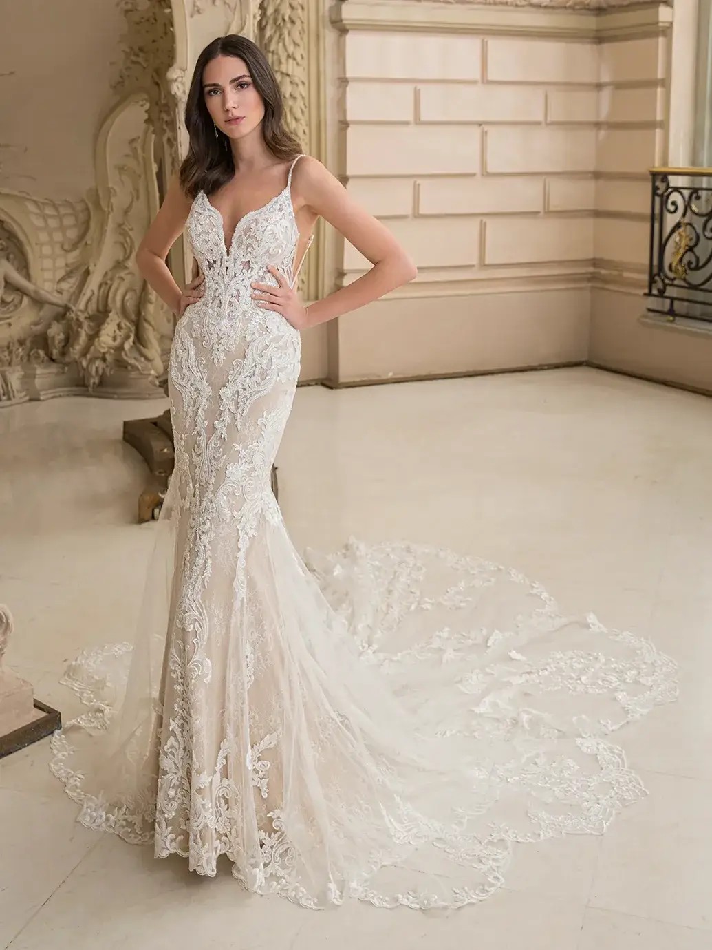 Élysée Trunk Show Main Image