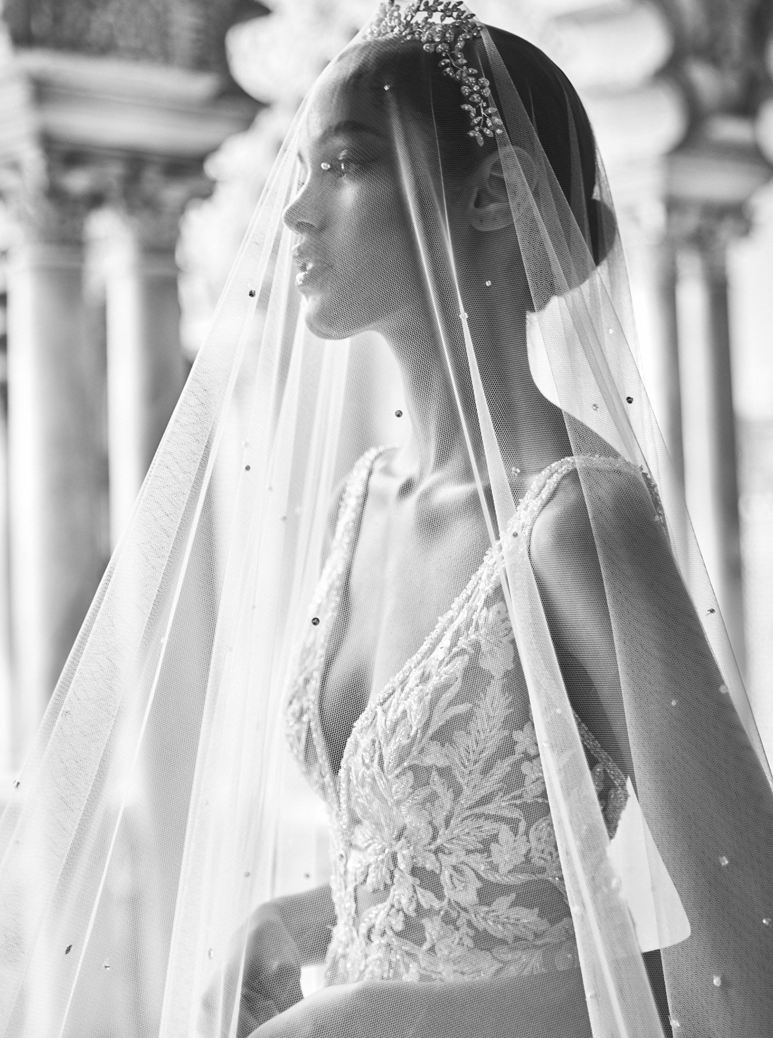 Pronovias Veils Dresses | Mari Mi Bridal