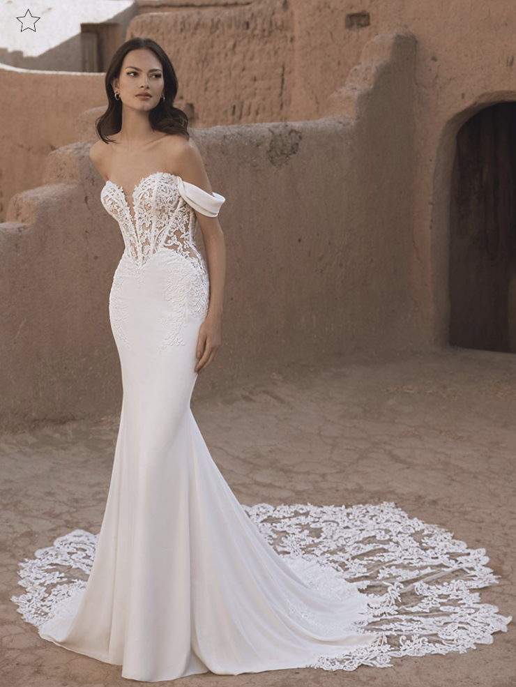 celestial wedding dress Fairy Lace Corset Wedding Dress with Hooded Glitter Tulle Cape